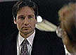 mulder17