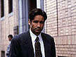 mulder31