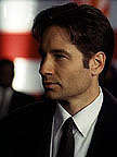 mulder36