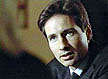 mulder4
