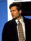 mulder5